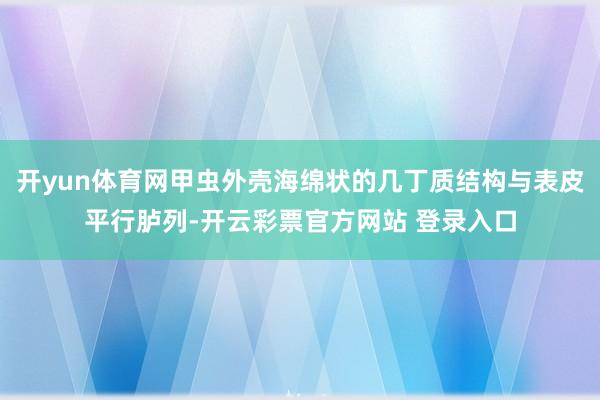 开yun体育网甲虫外壳海绵状的几丁质结构与表皮平行胪列-开云